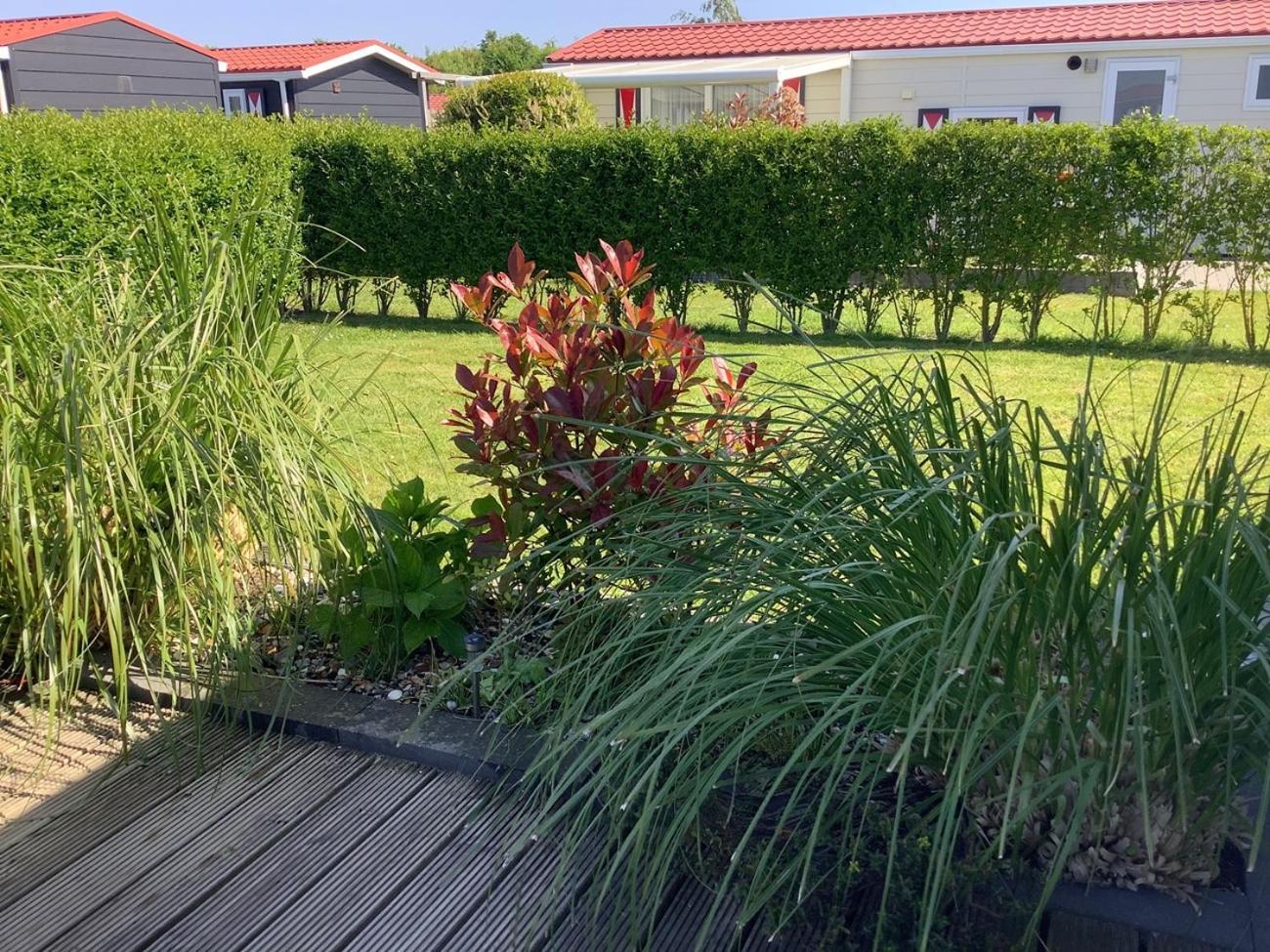 Olmenduin 112 Se16 Serooskerke (Walcheren)